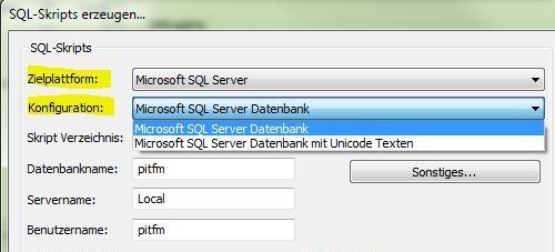 Skripterstellung der Views auf DBMS Type Basis