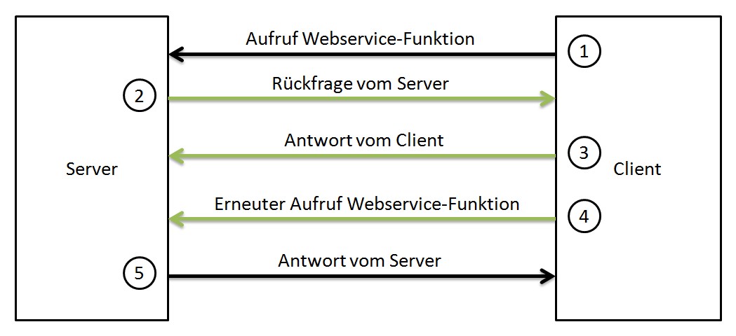 Webservice UserDefinedSafeFunction
